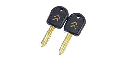 SIX-3.P2 CITROEN-4 logotip желтый